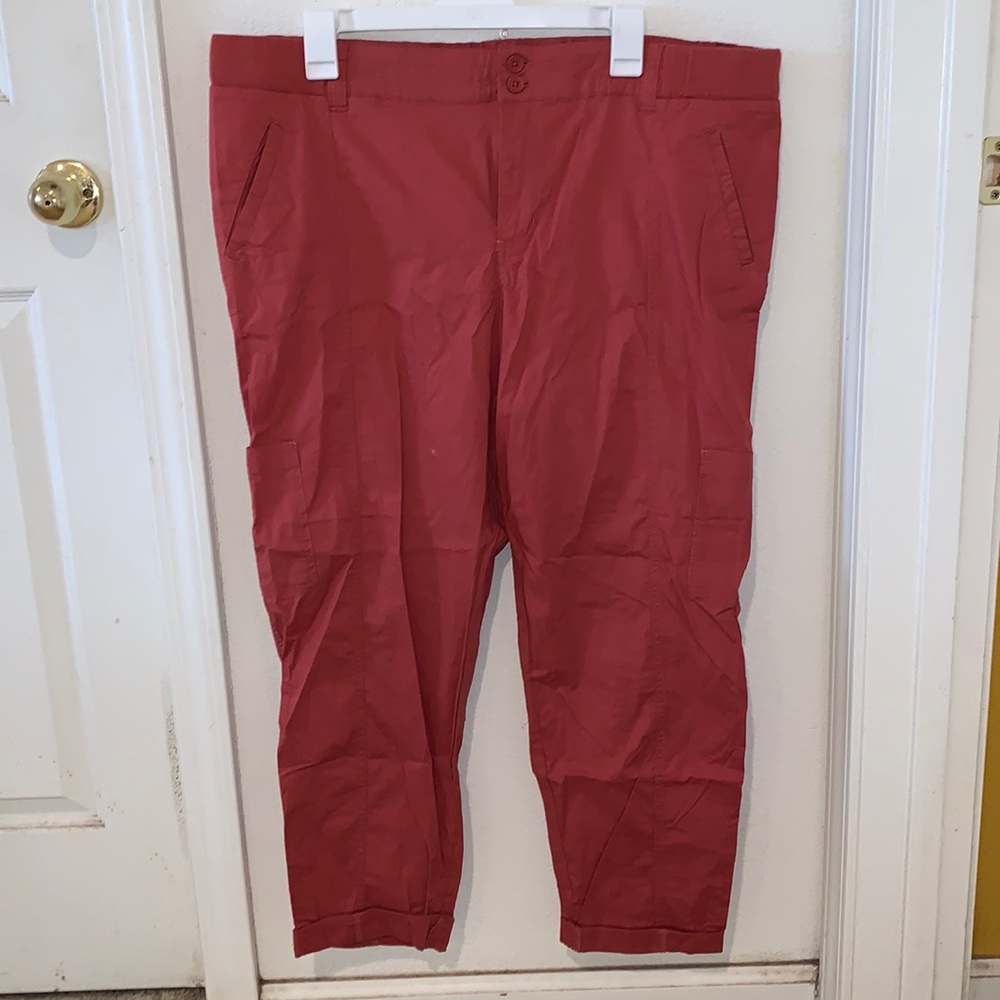 Torrid Pants